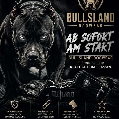 Hundeauslaufgebiet-Milla'sdoghouse-Bild