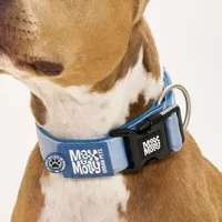 Hundeauslaufgebiet-Milla'sdoghouse-Bild