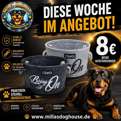 Hundeauslaufgebiet-Milla'sdoghouse-Bild