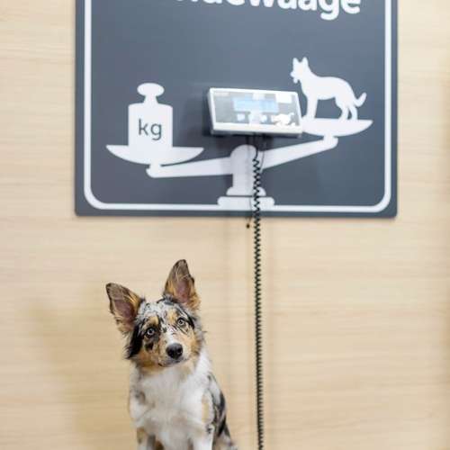 Hundeauslaufgebiet-ZooRoyal Elmshorn-Bild