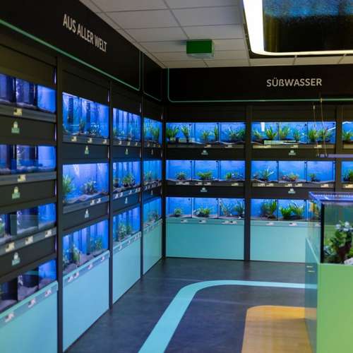 Hundeauslaufgebiet-ZooRoyal Elmshorn-Bild