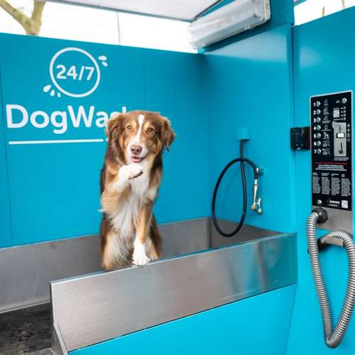 Hundeauslaufgebiet-ZooRoyal Norderstedt-Bild