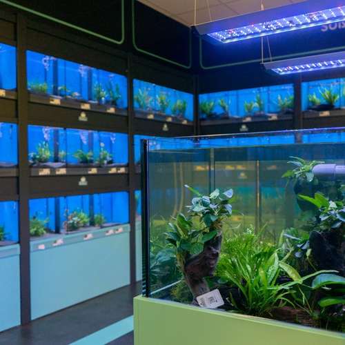 Hundeauslaufgebiet-ZooRoyal Elmshorn-Bild