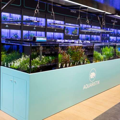 Hundeauslaufgebiet-ZooRoyal Elmshorn-Bild