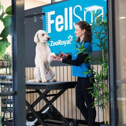 Hundeauslaufgebiet-ZooRoyal Elmshorn-Bild