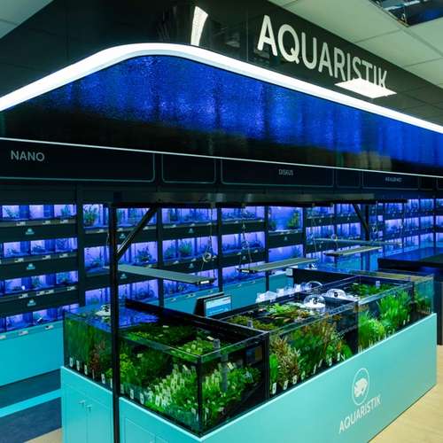 Hundeauslaufgebiet-ZooRoyal Elmshorn-Bild