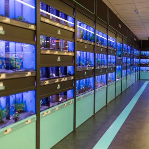 Hundeauslaufgebiet-ZooRoyal Elmshorn-Bild