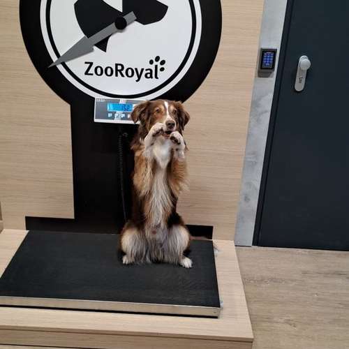 Hundeauslaufgebiet-ZooRoyal Elmshorn-Bild