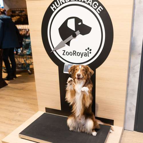 Hundeauslaufgebiet-ZooRoyal Elmshorn-Bild