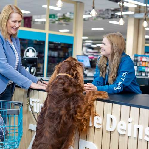 Hundeauslaufgebiet-ZooRoyal Elmshorn-Bild