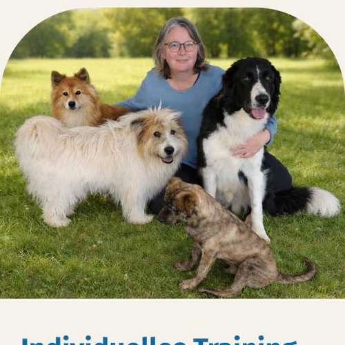 Hundeauslaufgebiet-ProKyon-Bild
