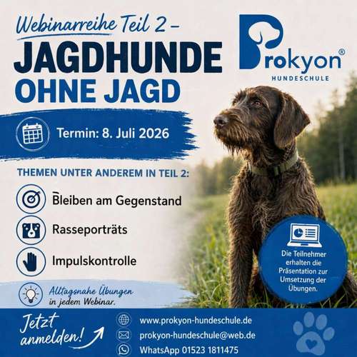 Hundeauslaufgebiet-ProKyon-Bild
