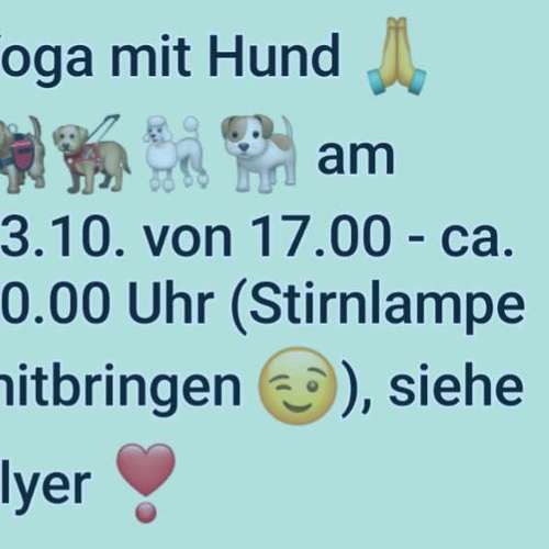 Hundeauslaufgebiet-SaPhiTierService und Beratung Zellertal-Bild