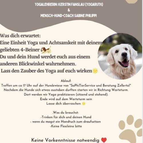 Hundeauslaufgebiet-SaPhiTierService und Beratung Zellertal-Bild
