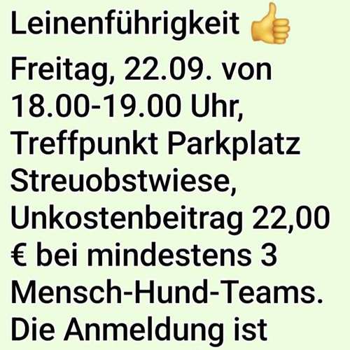 Hundeauslaufgebiet-SaPhiTierService und Beratung Zellertal-Bild