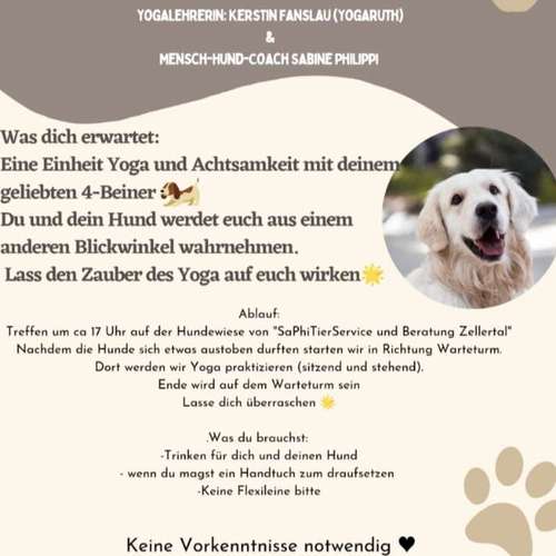 Hundeauslaufgebiet-SaPhiTierService und Beratung Zellertal-Bild