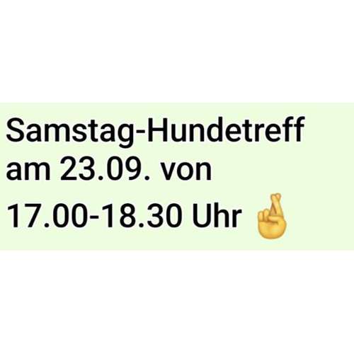 Hundeauslaufgebiet-SaPhiTierService und Beratung Zellertal-Bild