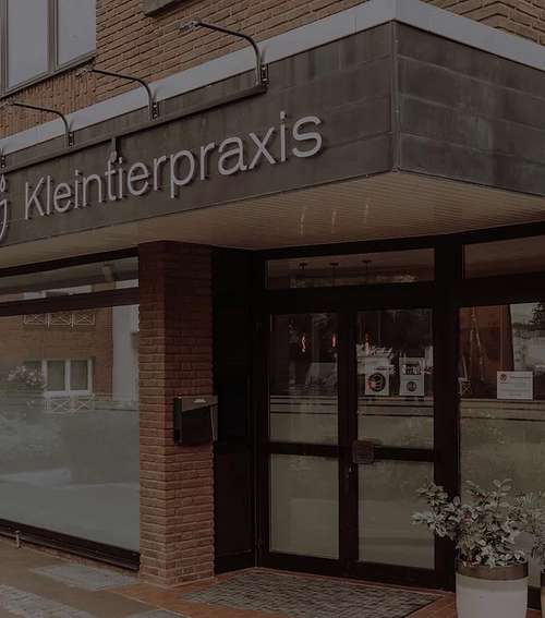 Hundeauslaufgebiet-Kleintierpraxis Herzlake - Dr. Philipp Meinck & Yola Meinck-Bild