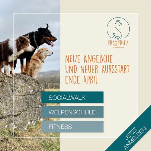 Hundeauslaufgebiet-Frag Fritz Hundeschule-Bild