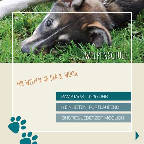 Hundeauslaufgebiet-Frag Fritz Hundeschule-Bild