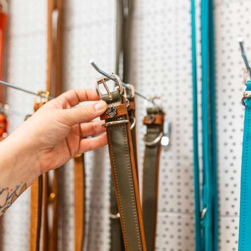 Hundeauslaufgebiet-Nimmersatt-Bild