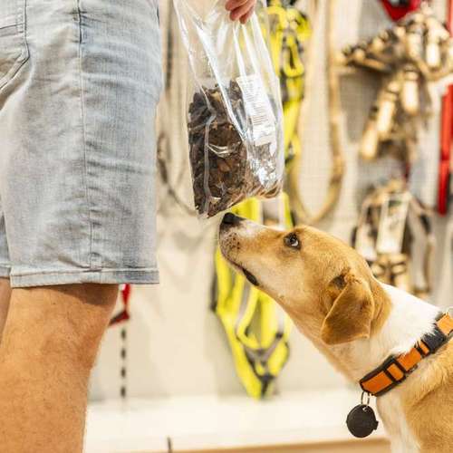 Hundeauslaufgebiet-Nimmersatt-Bild