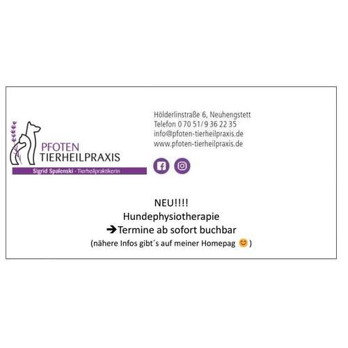 Hundeauslaufgebiet-Pfoten Tierheilpraxis-Bild