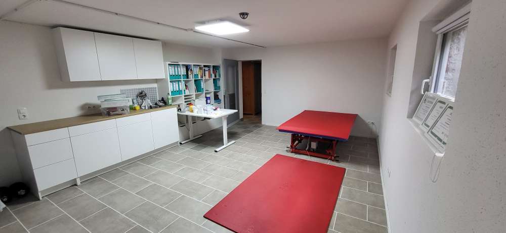 Hundeauslaufgebiet-Pfoten Tierheilpraxis-Bild