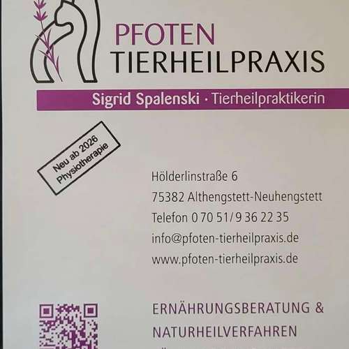 Hundeauslaufgebiet-Pfoten Tierheilpraxis-Bild