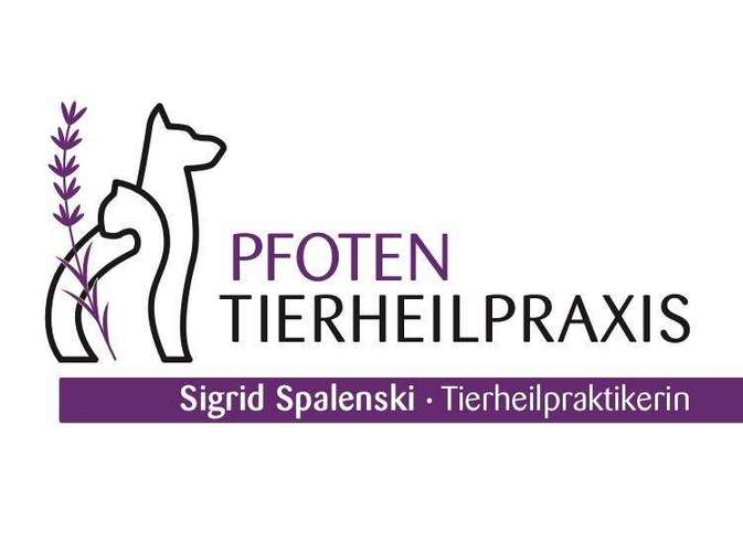 Hundeauslaufgebiet-Pfoten Tierheilpraxis-Bild