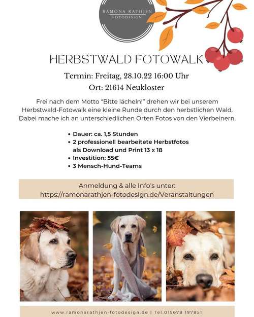 Hundeauslaufgebiet-Ramona Rathjen Fotodesign-Bild