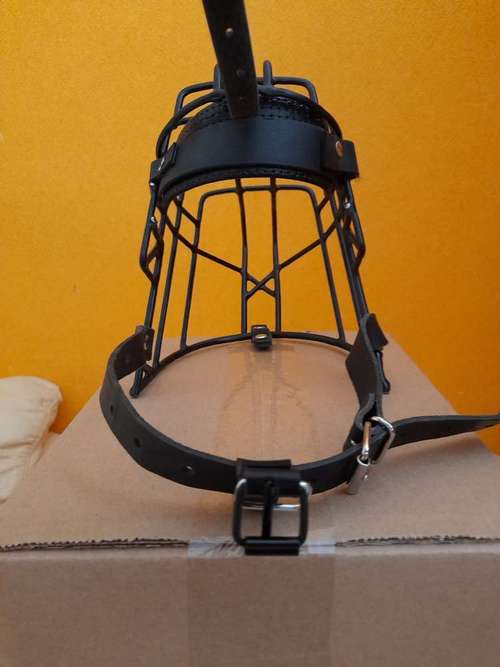 Hundeauslaufgebiet-Hundekompass-Bild