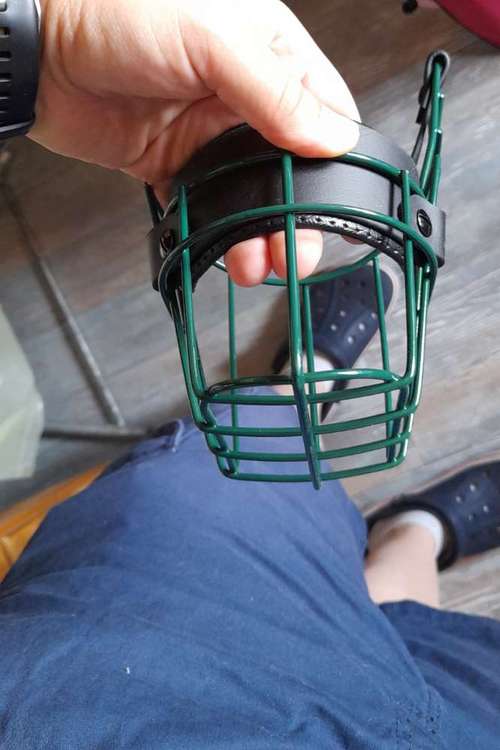 Hundeauslaufgebiet-Hundekompass-Bild