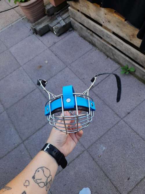 Hundeauslaufgebiet-Hundekompass-Bild