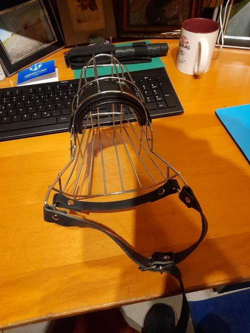 Hundeauslaufgebiet-Hundekompass-Bild