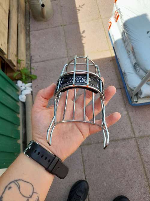 Hundeauslaufgebiet-Hundekompass-Bild