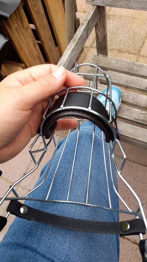 Hundeauslaufgebiet-Hundekompass-Bild