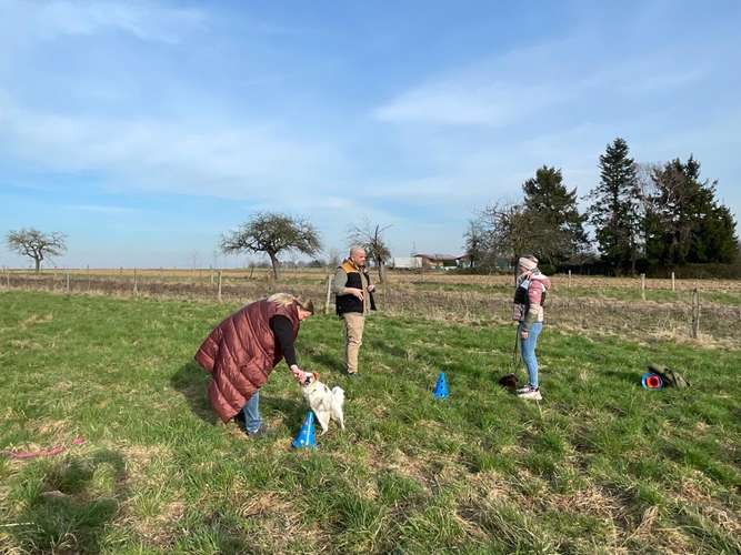 Hundeauslaufgebiet-Hundeschule Smart Canis-Bild