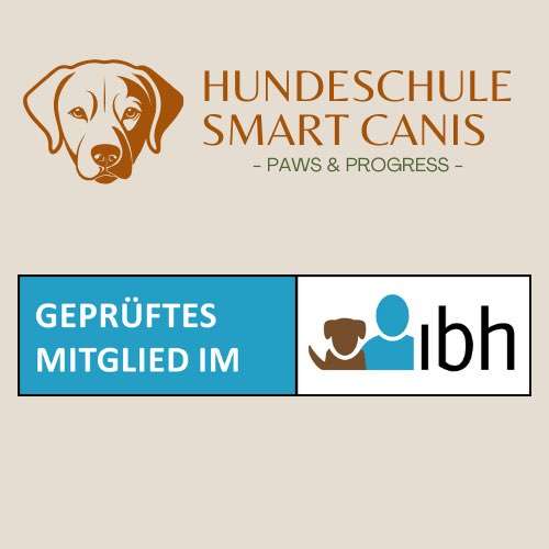 Hundeauslaufgebiet-Hundeschule Smart Canis-Bild