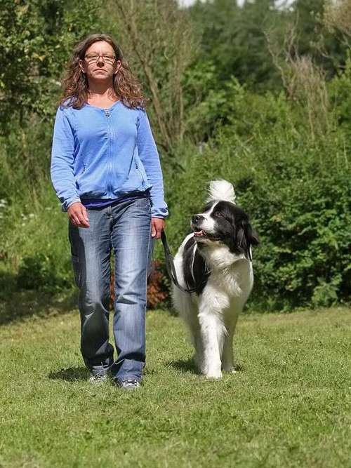 Hundeauslaufgebiet-Hundezentrum Heiduk-Bild