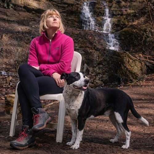 Hundeauslaufgebiet-Krawallhunde-Bild