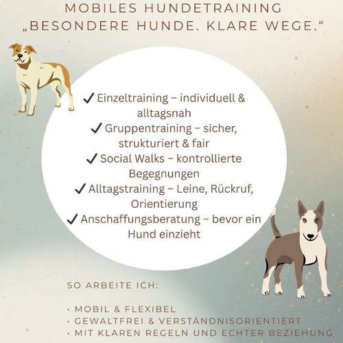 Hundeauslaufgebiet-Krawallhunde-Bild