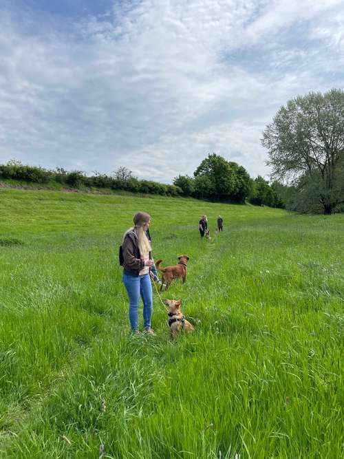 Hundeauslaufgebiet-Nicole Grendzinski-Hundetraining auf Schnauzenhöhe-Bild