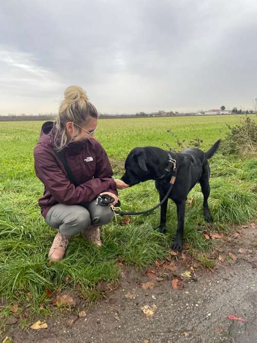 Hundeauslaufgebiet-Nicole Grendzinski-Hundetraining auf Schnauzenhöhe-Bild