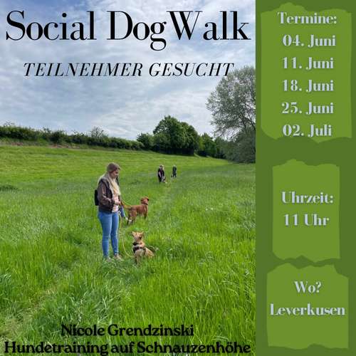 Hundeauslaufgebiet-Nicole Grendzinski-Hundetraining auf Schnauzenhöhe-Bild