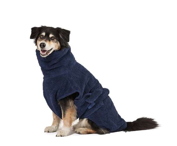 Hundeauslaufgebiet-Fräulein Plath - green dogshop --Bild