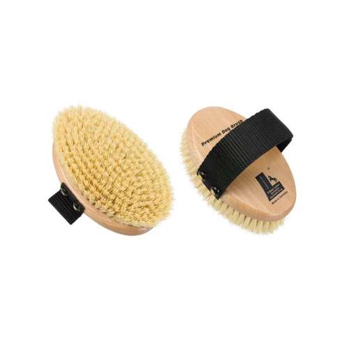 Hundeauslaufgebiet-Fräulein Plath - green dogshop --Bild