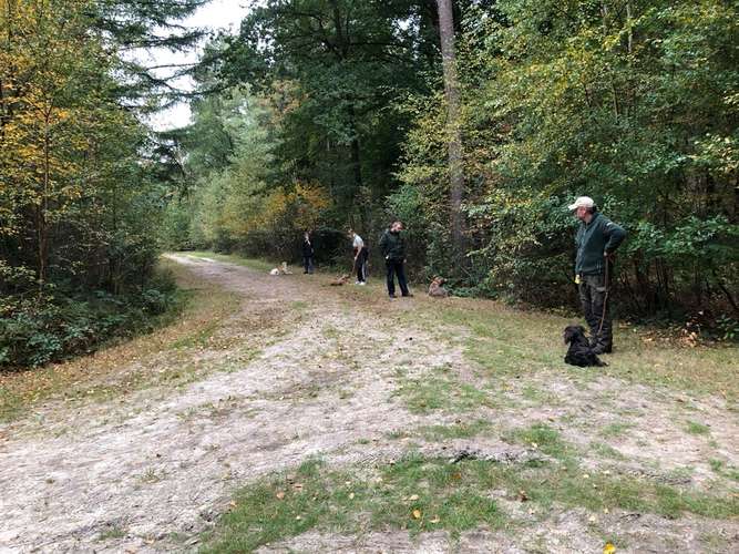 Hundeauslaufgebiet-Hundeschule Watermann-Bild