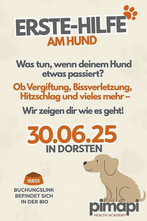 Hundeauslaufgebiet-Pimapi-Bild