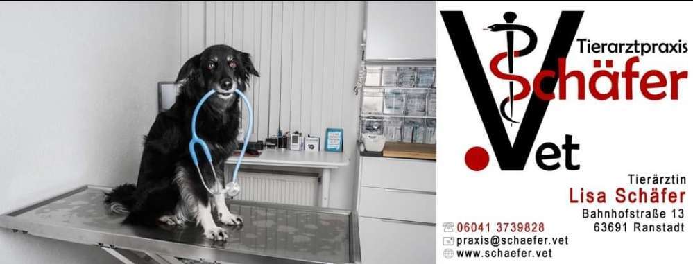 Hundeauslaufgebiet-Tierarztpraxis Schäfer-Bild